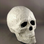 Sculpture Ceramic Skull